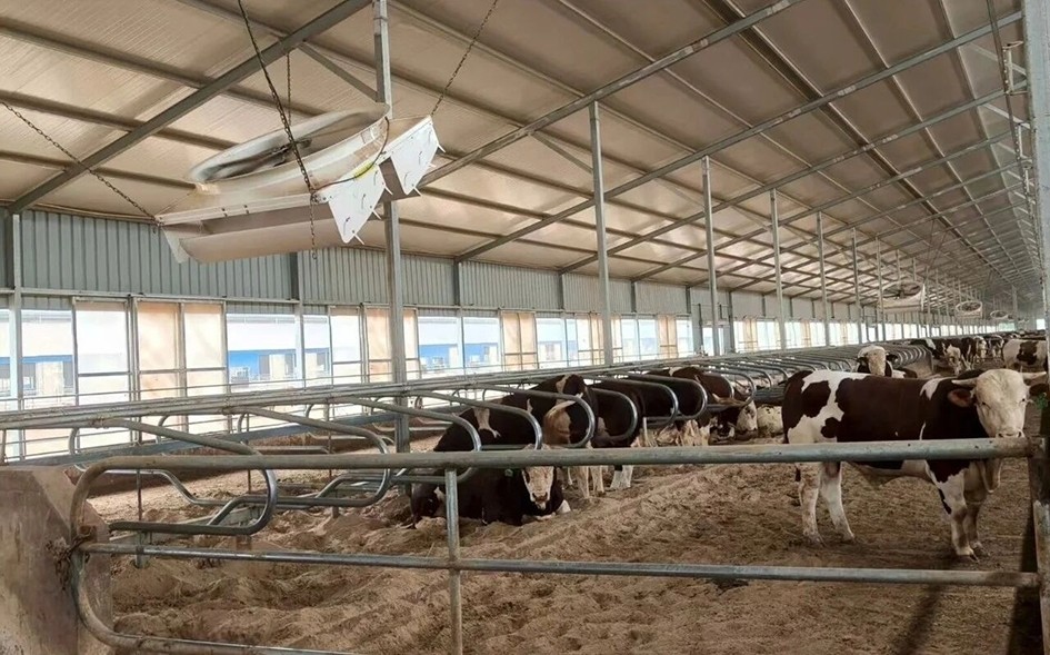 20250911110211136143_11.jpg 1.jpg