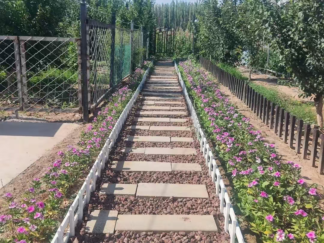 20250919174217119329_11.png 圖片1.png